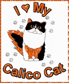 calico cat thankful for you
