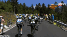 Cycling GIF - Cycling Tour De France Fail GIFs
