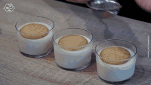 Cocoa Powder Spanish Custards GIF - Cocoa Powder Spanish Custards Custards GIFs