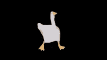 Oie Goose GIF - Oie Goose Goos GIFs