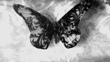 Occult Butterfly GIF - Occult Butterfly Gothic GIFs