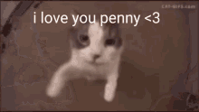 I Love You Penny GIF - I Love You Penny GIFs
