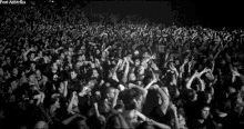 danke die menge saft danke menge konzert musik danke die menge saft danke menge konzert musik