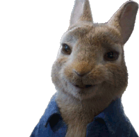 Smile Peter Rabbit Sticker - Smile Peter Rabbit Peter Rabbit2 Stickers