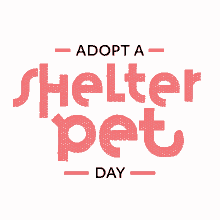 Adopt A Shelter Pet Shelter Pets GIF - Adopt A Shelter Pet Shelter Pets Pets GIFs