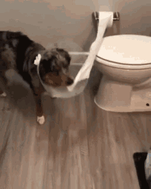 Pulling Toilet Tissue Paper Dog GIF - Pulling Toilet Tissue Paper Pulling Dog GIFs