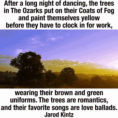 oversættelse nationalisme Tochi træ Dank Memes Nature GIF - Dank Memes Nature Sunset - Discover & Share GIFs