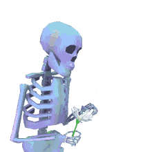 skeleton flowers pedal loves me not sad skeleton flowers pedal loves me not sad