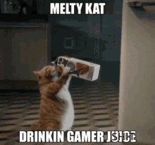 meltykat melty drinking gamer juice oddity gamer shit
