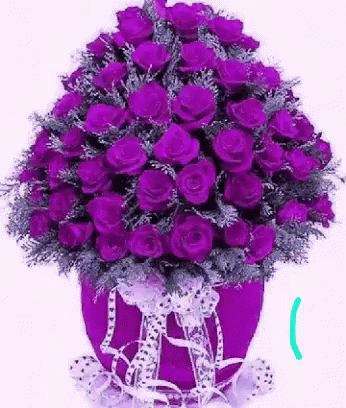 Love You Too Purple Roses Gif Love You Too Purple Roses Discover Share Gifs Love You Too Purple Roses Gif Love You Too Purple Roses Discover Share Gifs