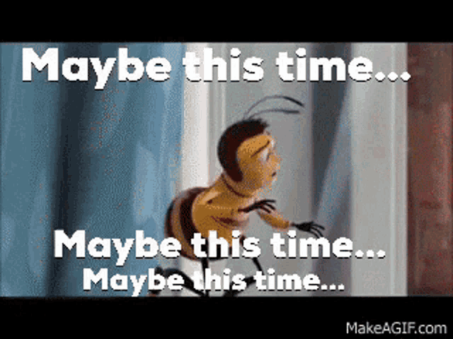 Bee Movie Maybe This Time GIF - Bee Movie Maybe This Time Cant Go Out GIFs