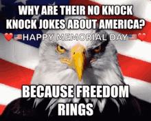 jokes freedom happy memorial day memorial weekend eagle
