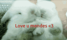 Mendes GIF - Mendes GIFs