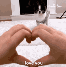 I Love You Puppy GIF - I Love You Puppy Heart Hands GIFs