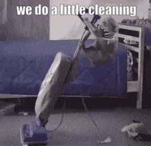 We Do A Little Cleaning Trolling GIF - We Do A Little Cleaning Trolling Cat Cleaning GIFs