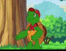 Hands Up Turtle GIF - Hands Up Turtle GIFs