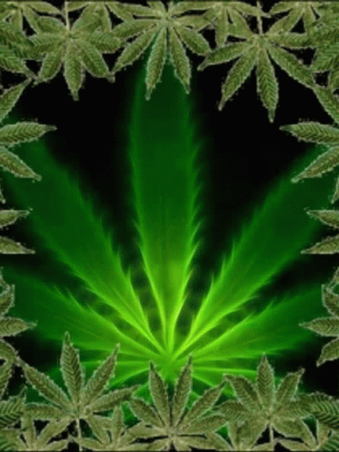 Love Wow GIF - Love Wow Marijuana Leaves - Discover & Share GIFs