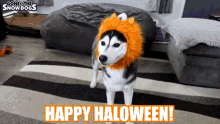 Halloween Happy Halloween GIF - Halloween Happy Halloween Trick Or Treat GIFs