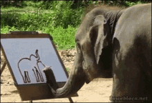 Art Artist GIF - Art Artist Elephant GIFs