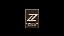 gaming effectize