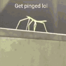 Get Pinged Stick Bug GIF - Get Pinged Stick Bug GIFs
