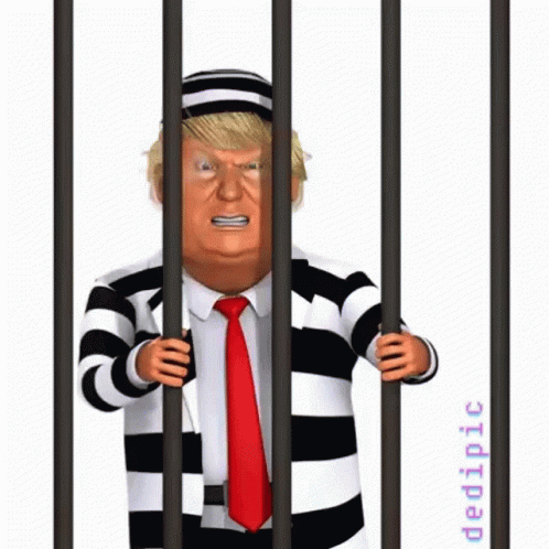 jailed-trump.gif