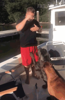 Pushed By A Dog Failarmy GIF - Pushed By A Dog Failarmy Fall Off The Boat GIFs