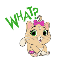 What 44cats Sticker - What 44cats Huh Stickers