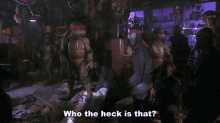 Tmnt Who The Heck Is That GIF - Tmnt Who The Heck Is That Who Is That GIFs