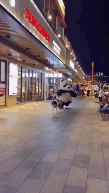 Panda Run GIF - Panda Run Panda Run GIFs