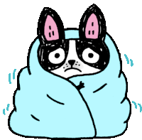 Cold Dog Wrapped In A Blanket Sticker - Pudding Funny Animals The Cry Baby Stickers