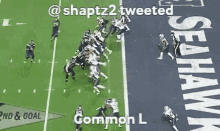 common shaptz