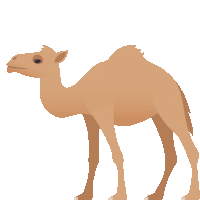 Camel Nature Sticker - Camel Nature Joypixels Stickers