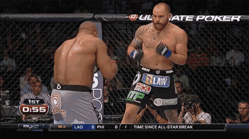 travis-browne-ufc.gif