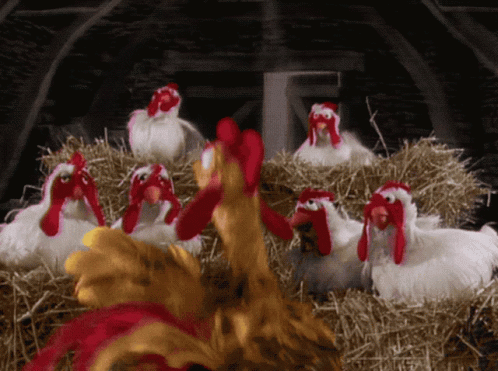 muppets-muppet-show.gif