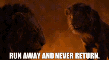 The Lion King Simba GIF - The Lion King Simba Run Away And Never Return GIFs