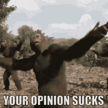opinion-sucks-your-opinion-sucks.gif