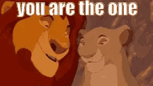 you are the one the one couple cuddle lion king