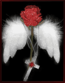 Rose Angel GIF - Rose Angel Wings GIFs