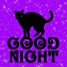 Good Night Purple GIF - Good Night Purple Black Cat GIFs