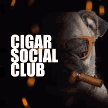 cigar club