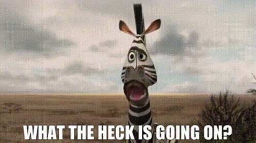 Madagascar Marty GIF - Madagascar Marty What The Heck Is Going On GIFs
