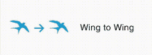 Wing To Wing Fly GIF - Wing To Wing Fly GIFs