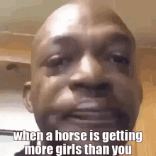 horse horse