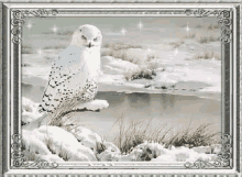 Buongiorno Owl GIF - Buongiorno Owl Frame GIFs