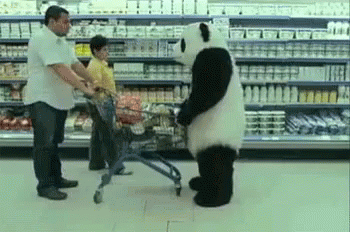panda-funny.gif
