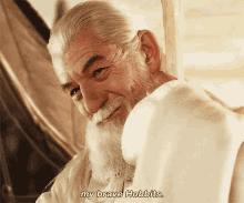 Lord Of The Rings Gandalf GIF - Lord Of The Rings Gandalf Brave GIFs