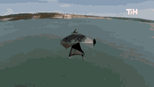 Gliding This Is Happening GIF - Gliding This Is Happening Flying GIFs