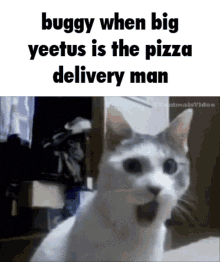 Buggy Pizza GIF - Buggy Pizza Pizza Delivery GIFs