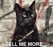 Nail File GIF - Tell Me More Cat Kitty GIFs